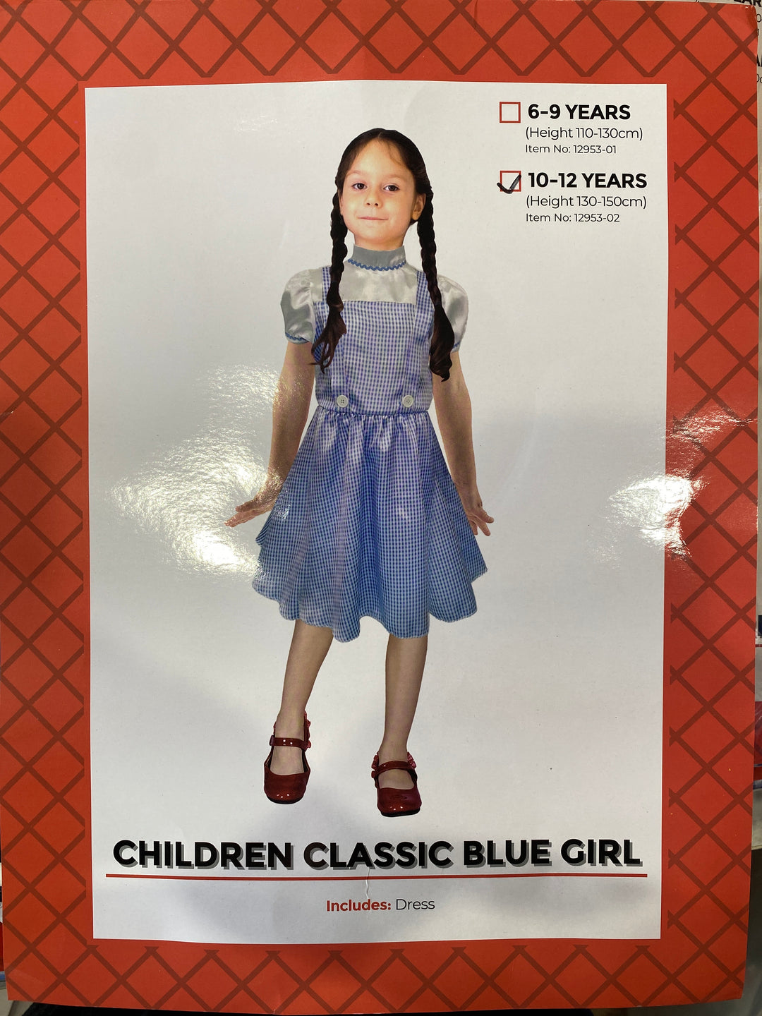 Child Classic Dorothy Costume