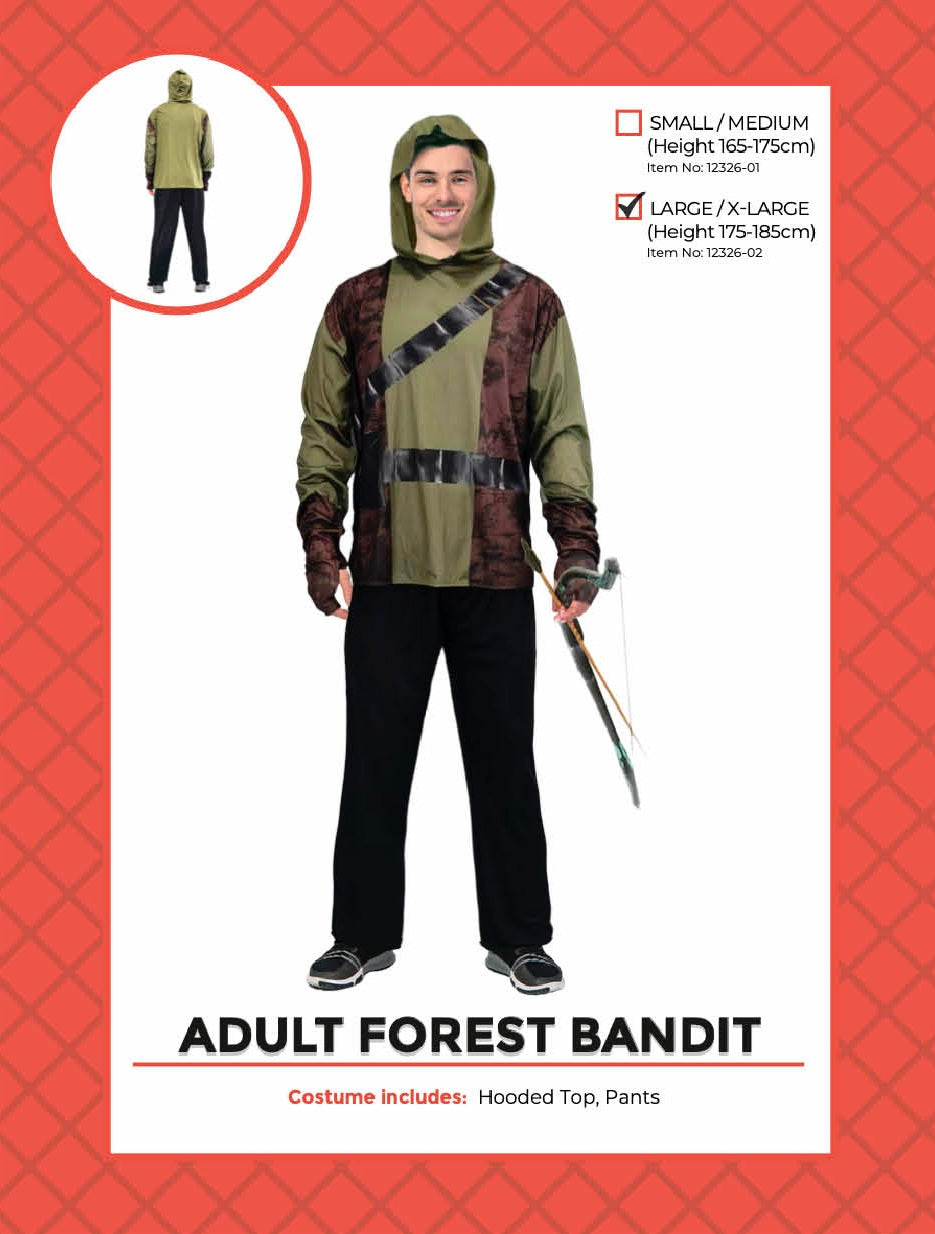 Forest Bandit Robin Hood Costume