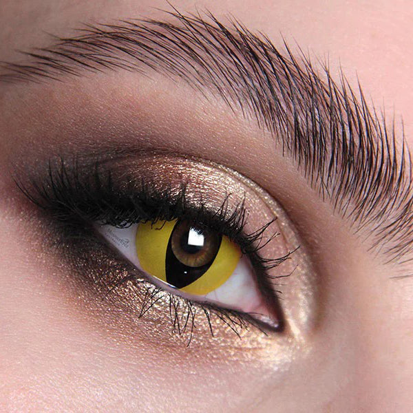 Wildcat Halloween Contact Lenses