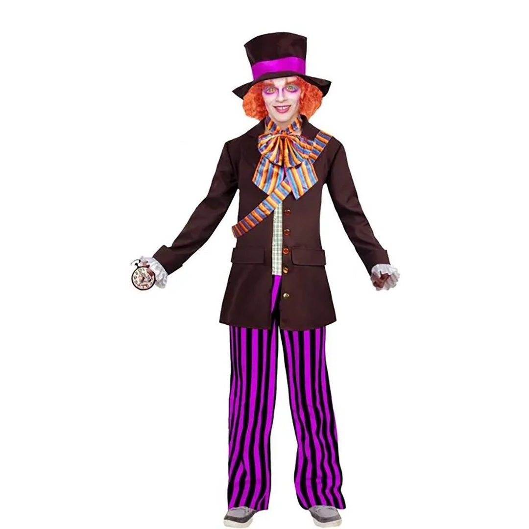 Mad Hatter Mens Costume