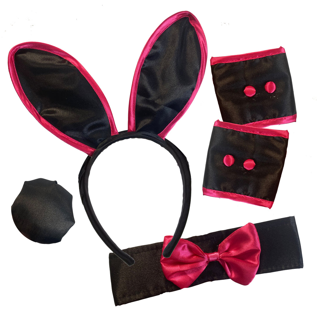 Playboy Bunny Set