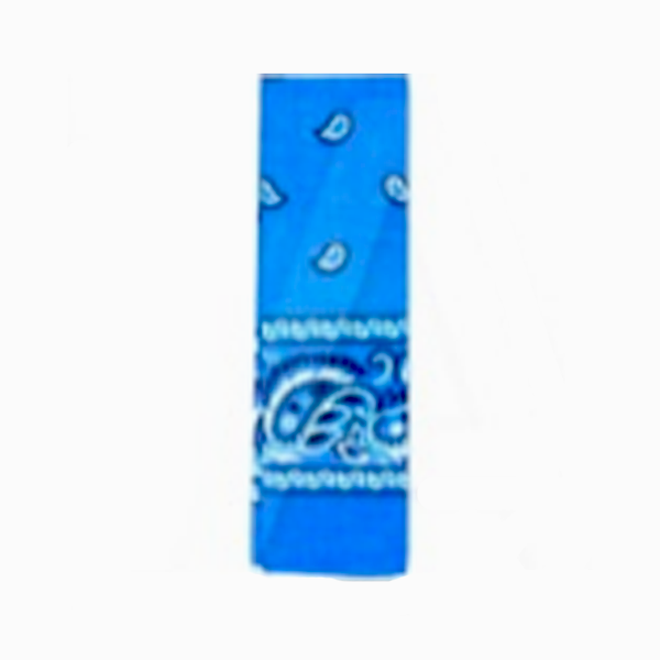 Bandana Pattern Blue