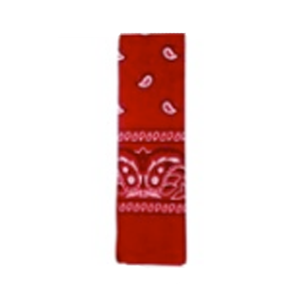 Bandana Pattern Red