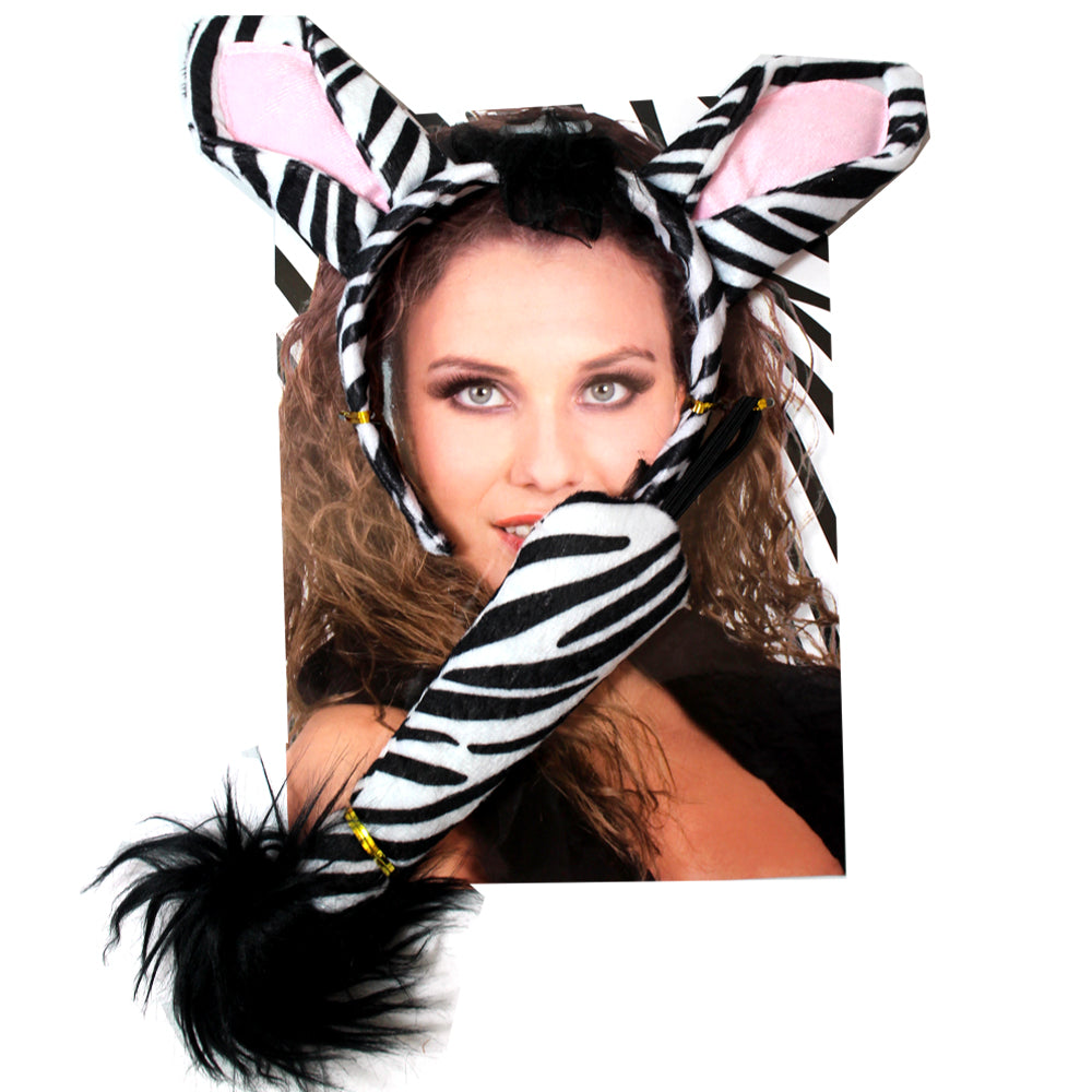 Zebra Dress Up Set