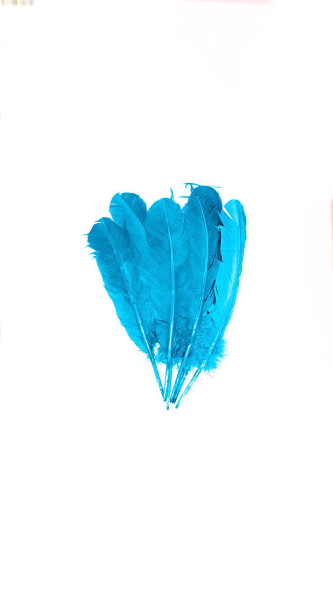 Feathers - 6 Wide Fluffy Feathers 28cm long
