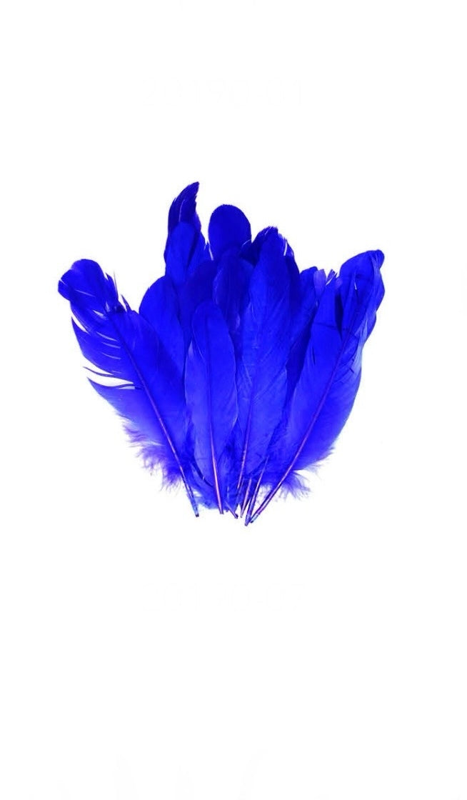 Feathers - 6 Wide Fluffy Feathers 28cm long