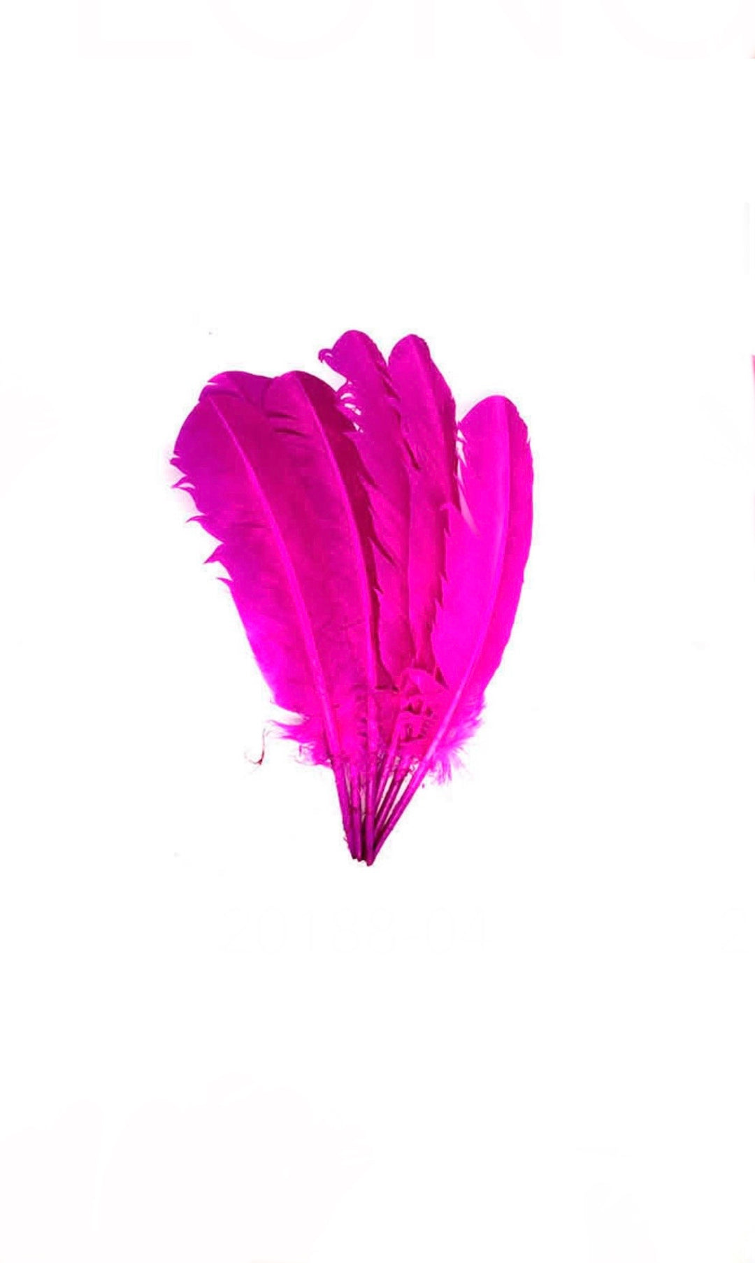 Feathers - 6 Wide Fluffy Feathers 28cm long