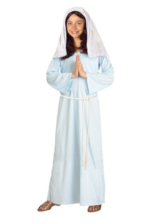 Biblical Mary Costume