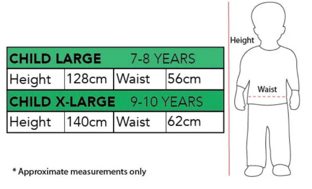 Harry Potter Gryffindor house Wizard Child Costume