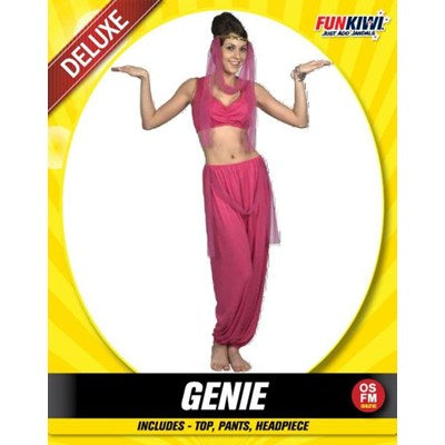 Arabian Gene Princess Adult Costume