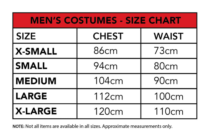 Deluxe He-Man Adult Costume