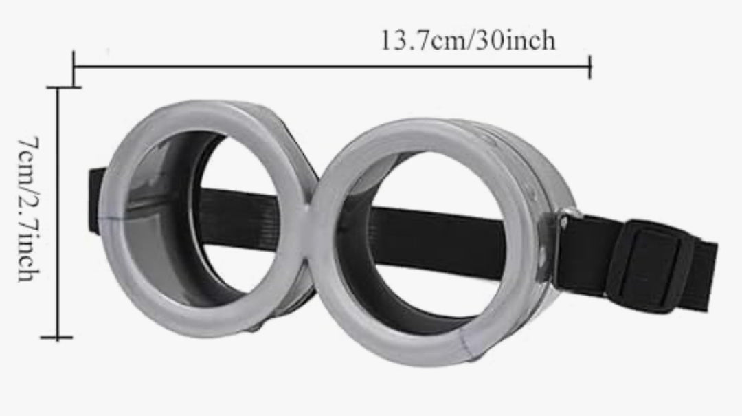 Minion Goggles
