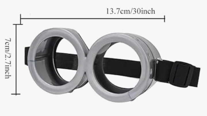 Minion Goggles