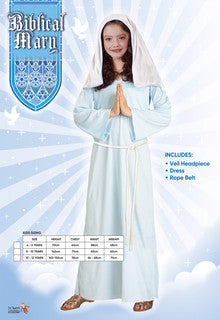 Biblical Mary Costume