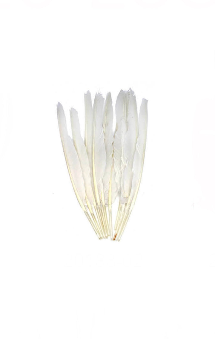 Feathers - 6 Wide Fluffy Feathers 28cm long
