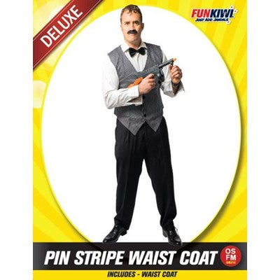 Pinstripe Waist Coat Vest