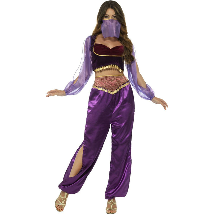 Arabian Princess Costume, Purple