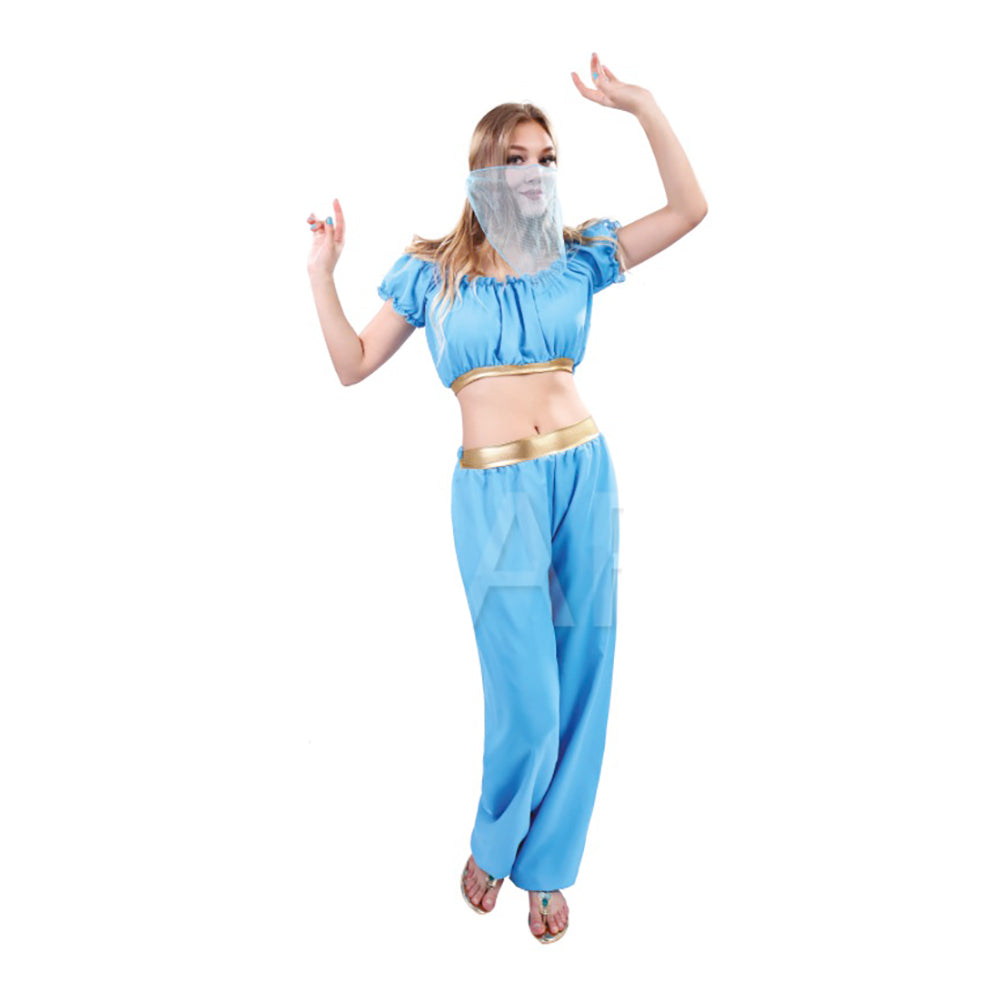 Arabian Princess Adult Costume