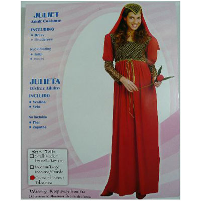 Medieval Juliet Costume
