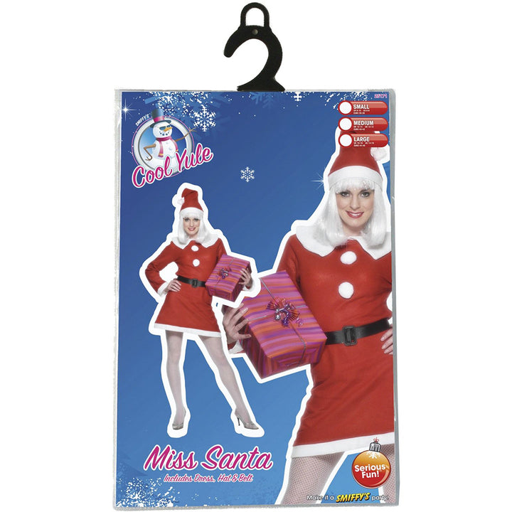 Miss Santa Costume