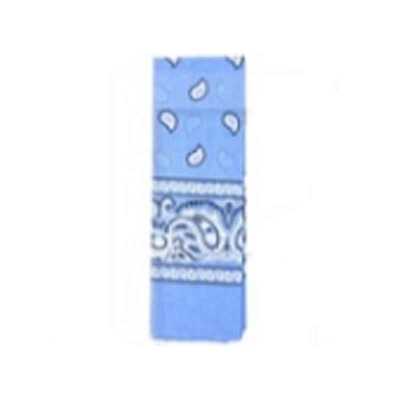 Bandana Pattern Light Blue