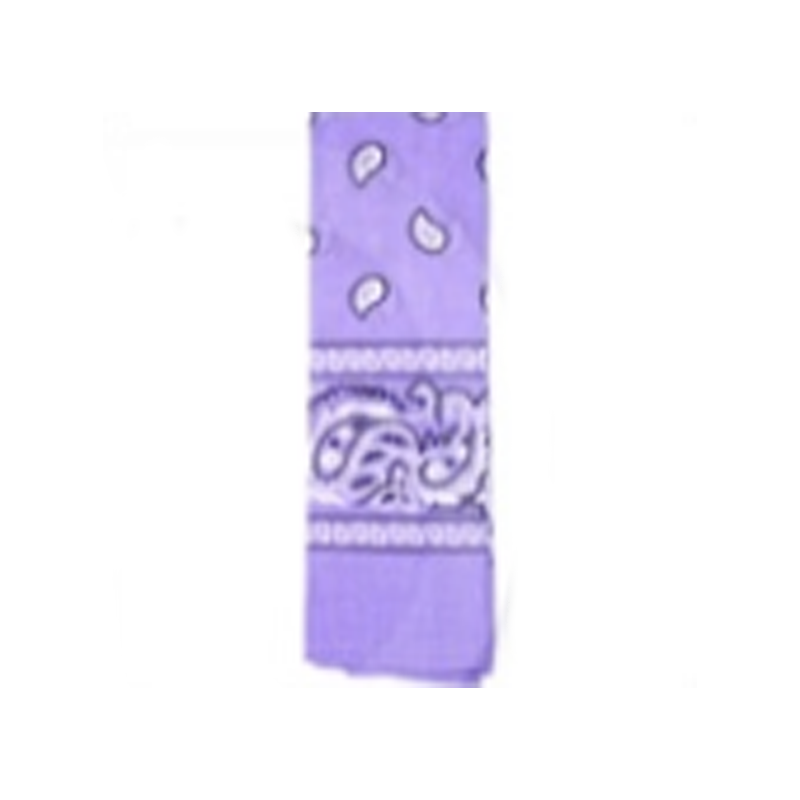 Bandana Pattern Light Purple