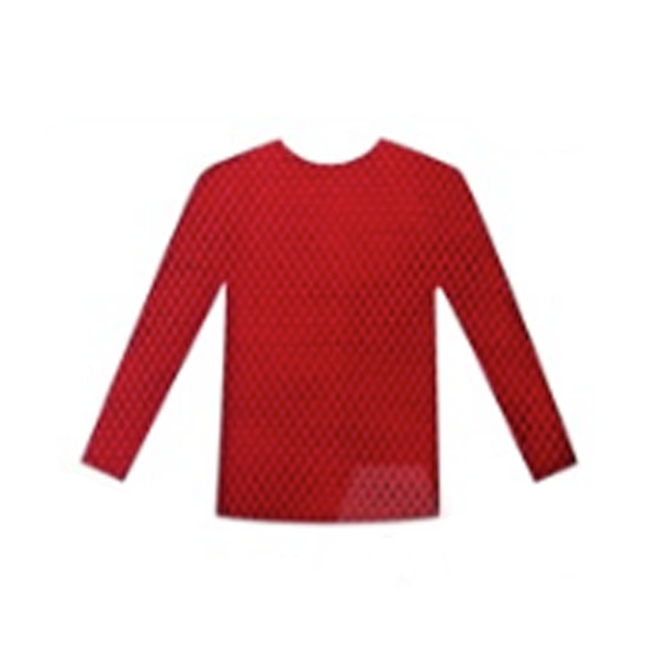 Red Long Sleeve Fishnet Top