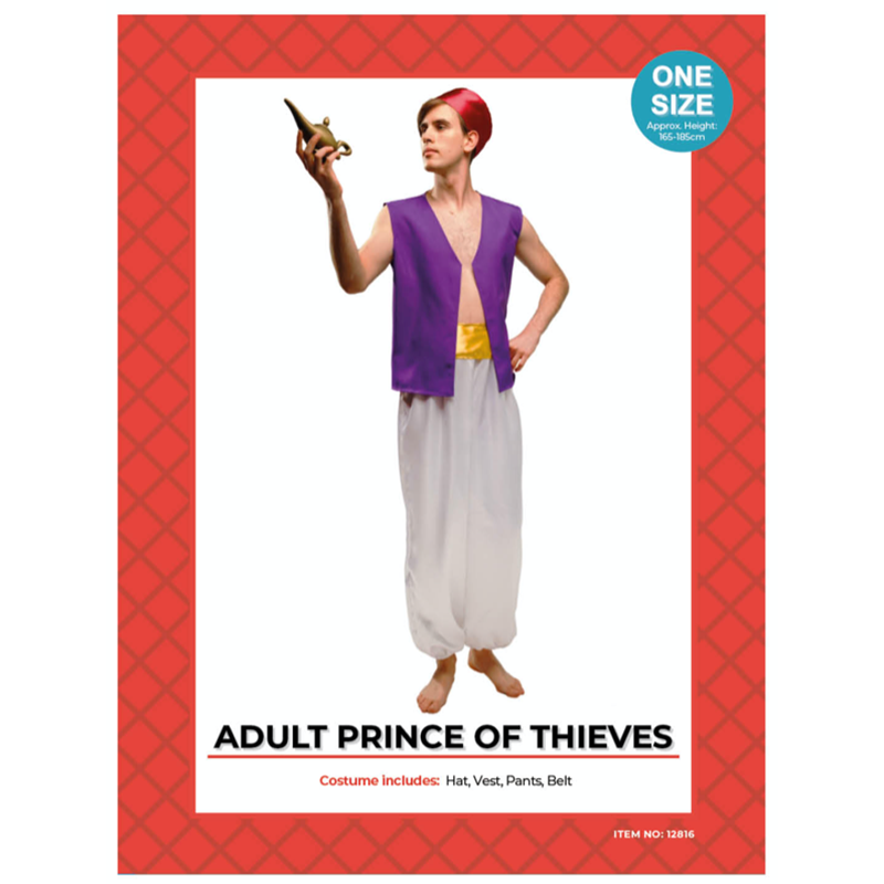 Aladdin Prince of Thieves Costume