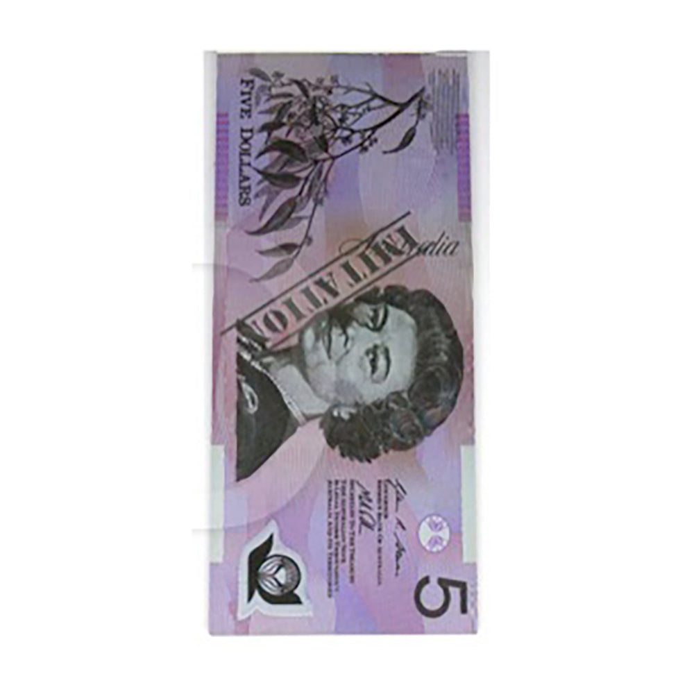 Souvenir Money Note Pad $5 Notes