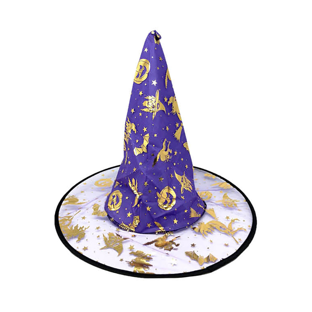 Witches Hat Purple & Gold